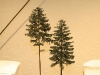 efbb_09_30
